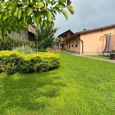 Pensiunea Denis Guest house Cartisoara