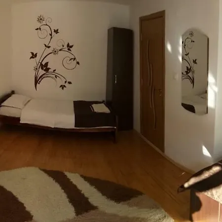 Guest house Pensiunea Denis *