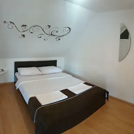 Pensiunea Denis Guest house *